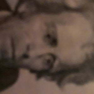 Meet your Posher, Donald